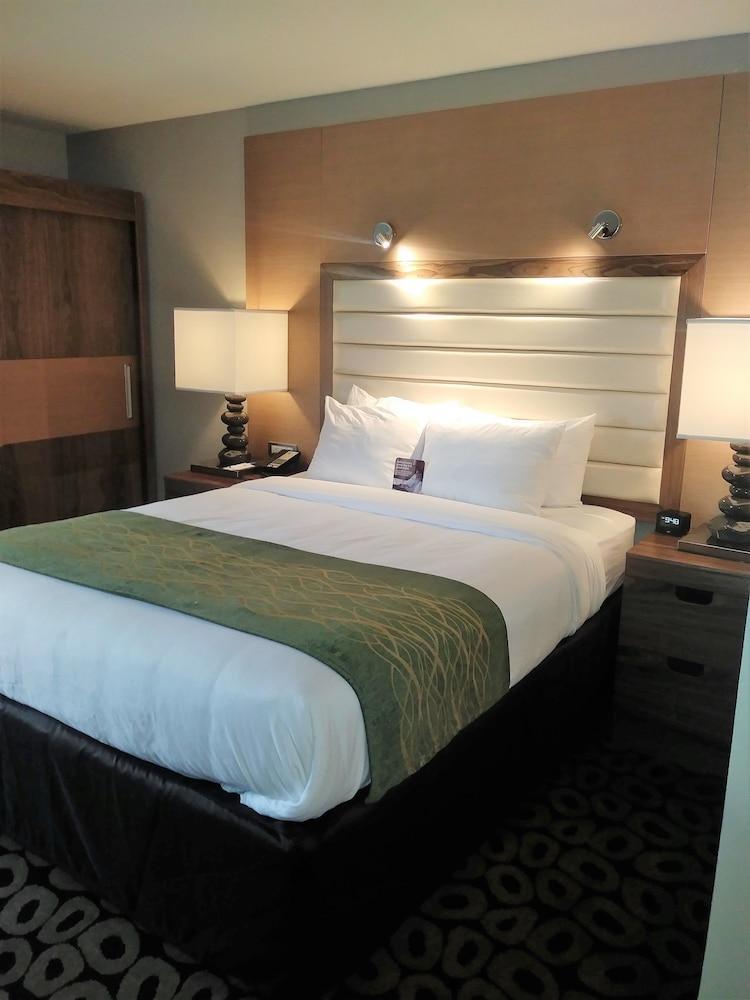 Comfort Inn Raleigh Midtown Eksteriør billede