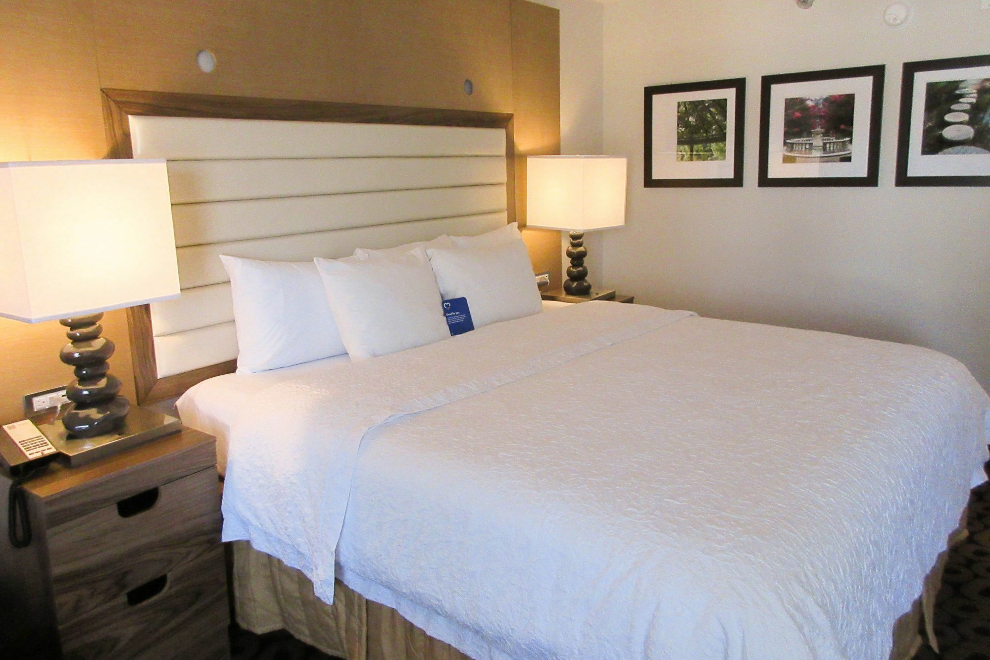 Comfort Inn Raleigh Midtown Eksteriør billede